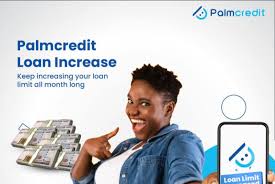 How to Increase Your Loan Limit on PalmCredit